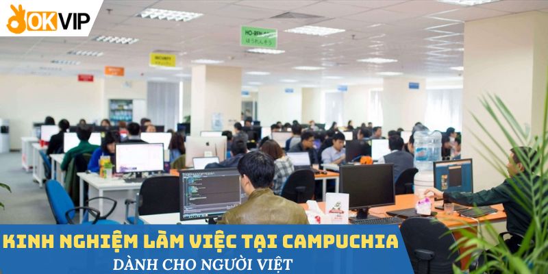 Cần có kỹ năng tốt khi được yêu cầu những kinh nghiệm làm việc tại Campuchia