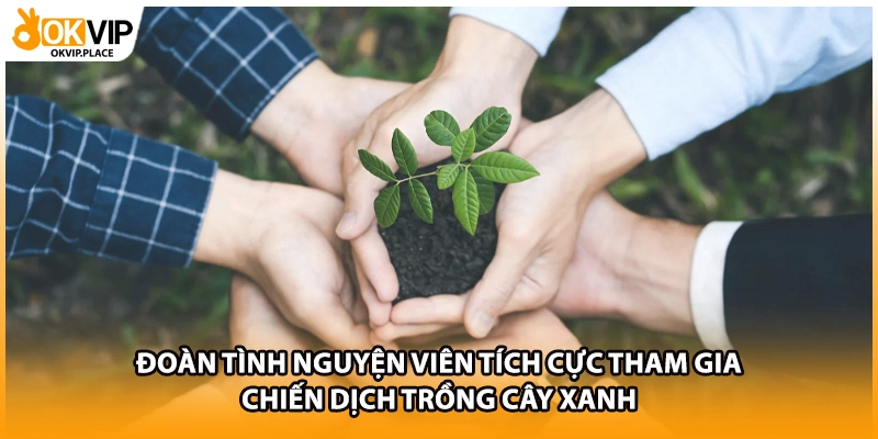 Đoàn tình nguyện viên tích cực tham gia chiến dịch trồng cây xanh
