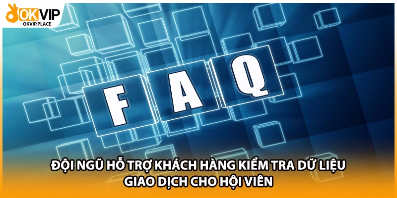 Đội ngũ hỗ trợ khách hàng kiểm tra dữ liệu giao dịch cho hội viên