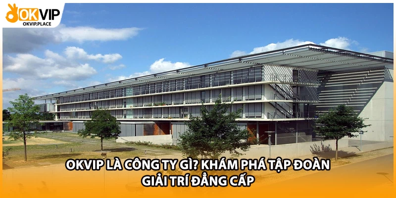 OKVIP Là Công Ty Gì? Khám Phá Tập Đoàn Giải Trí Đẳng Cấp